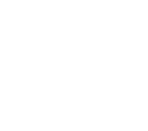 logo officiel royal enfield classic 650